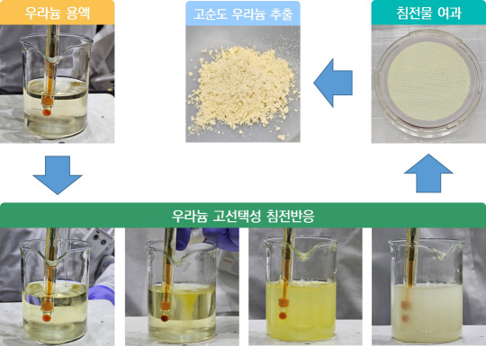 缺⹰   Ȱ롦ִ 95%  